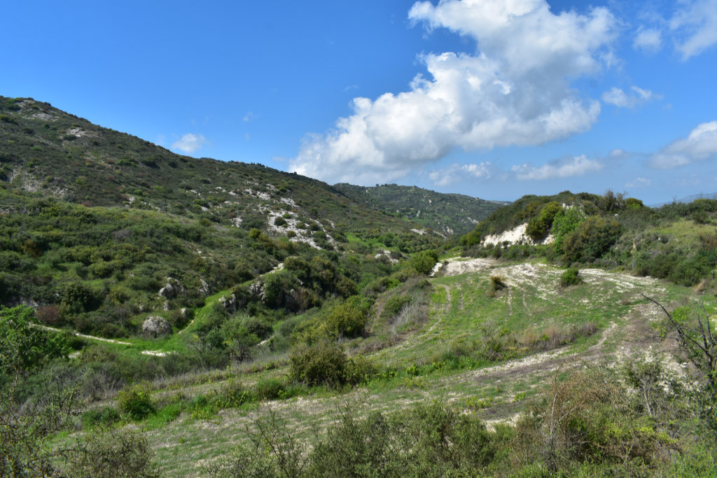 Yada