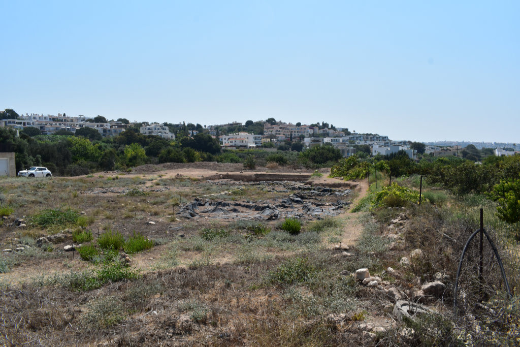 The Site