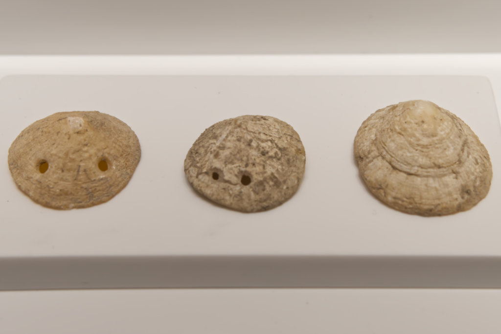 Ancient Bling