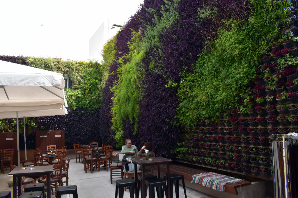 Green Living Wall
