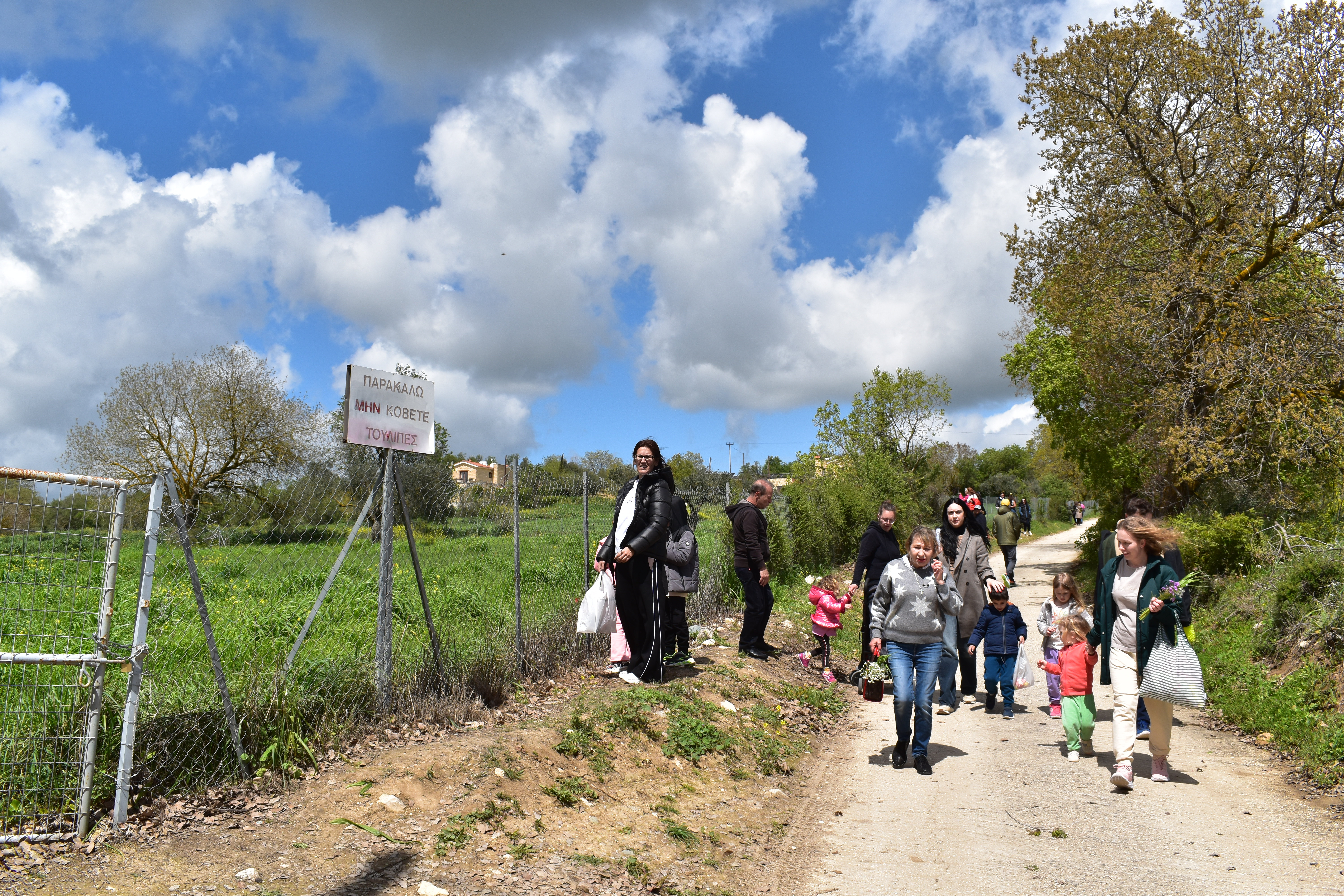 The Protected Tulip Field