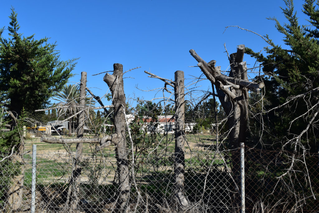 the-hunt-for-geroskipou-aerodrome_27