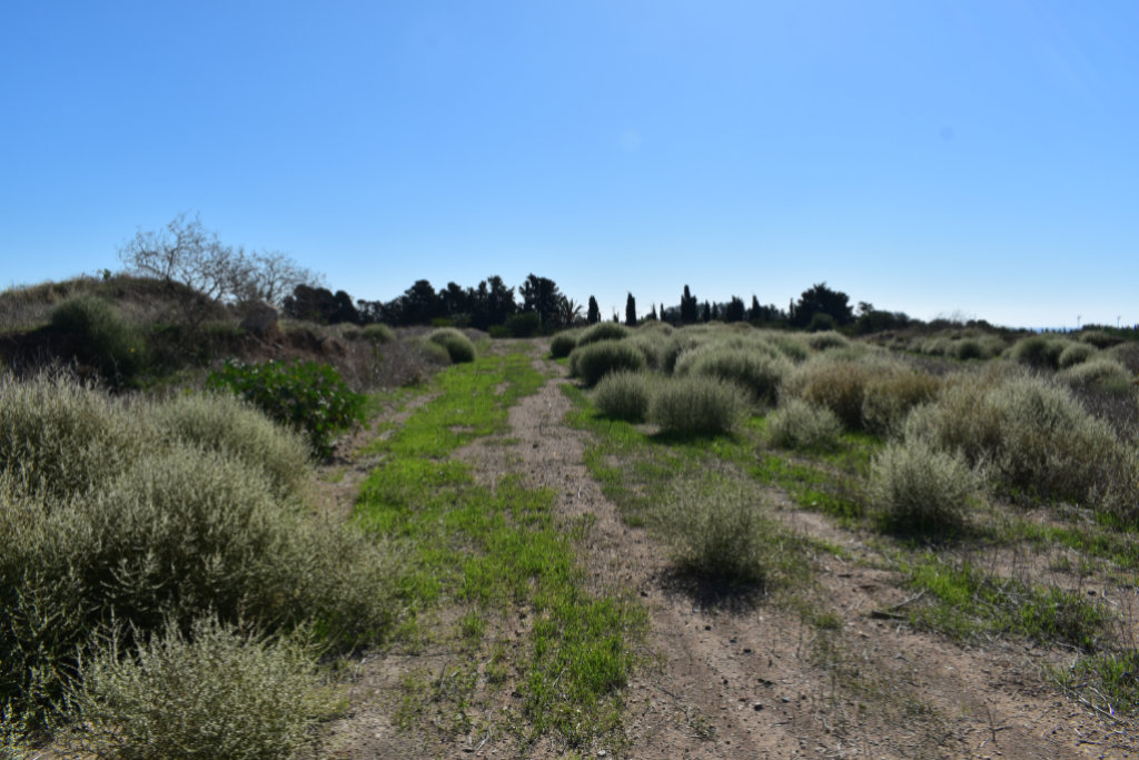 the-hunt-for-geroskipou-aerodrome_55