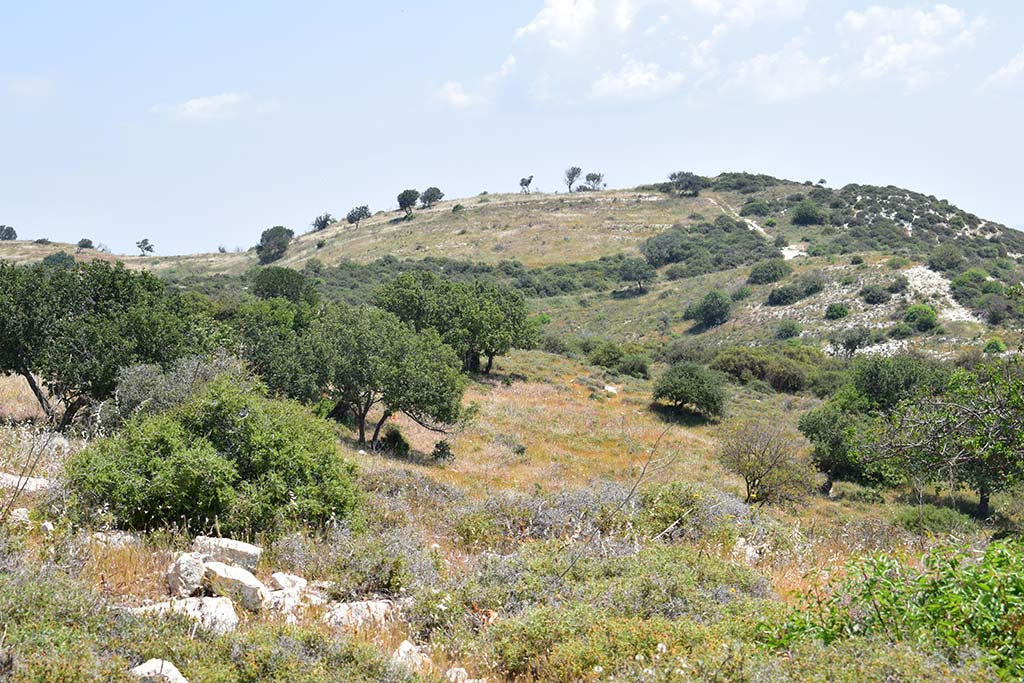 adonis_viewpoint_11