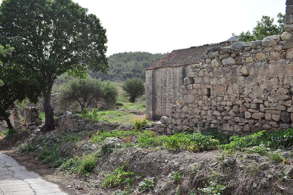Agios Savvas Tis Koronos 04 agios_savvas_tis_koronos_04