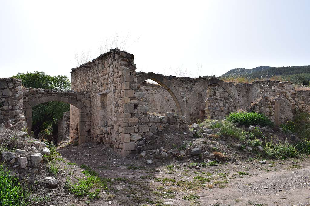 Agios Savvas Tis Koronos 06 agios_savvas_tis_koronos_06