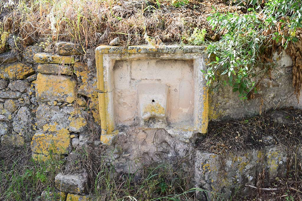 Agios Savvas Tis Koronos 07 agios_savvas_tis_koronos_07