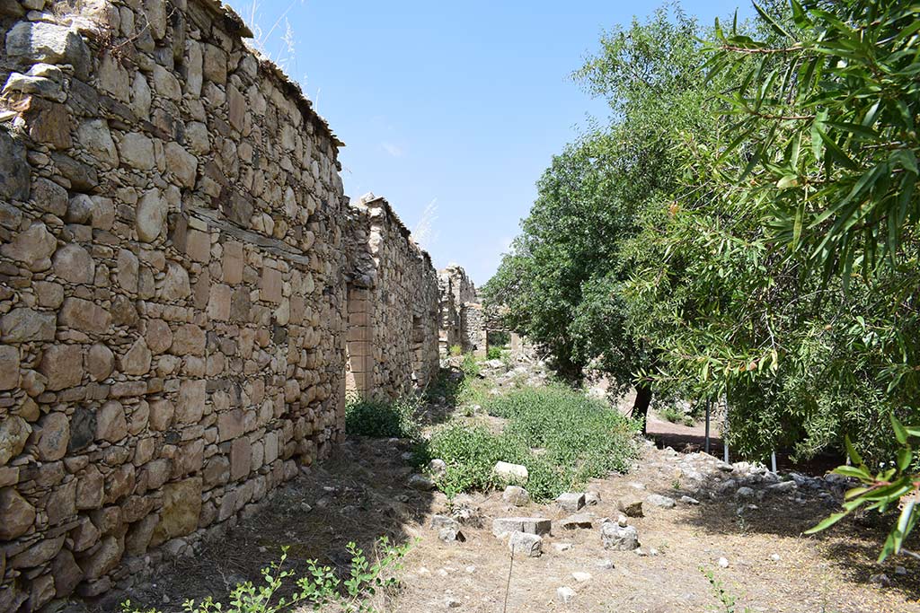 Agios Savvas Tis Koronos 21 agios_savvas_tis_koronos_21