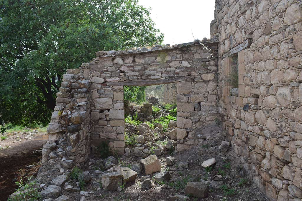 Agios Savvas Tis Koronos 36 agios_savvas_tis_koronos_36