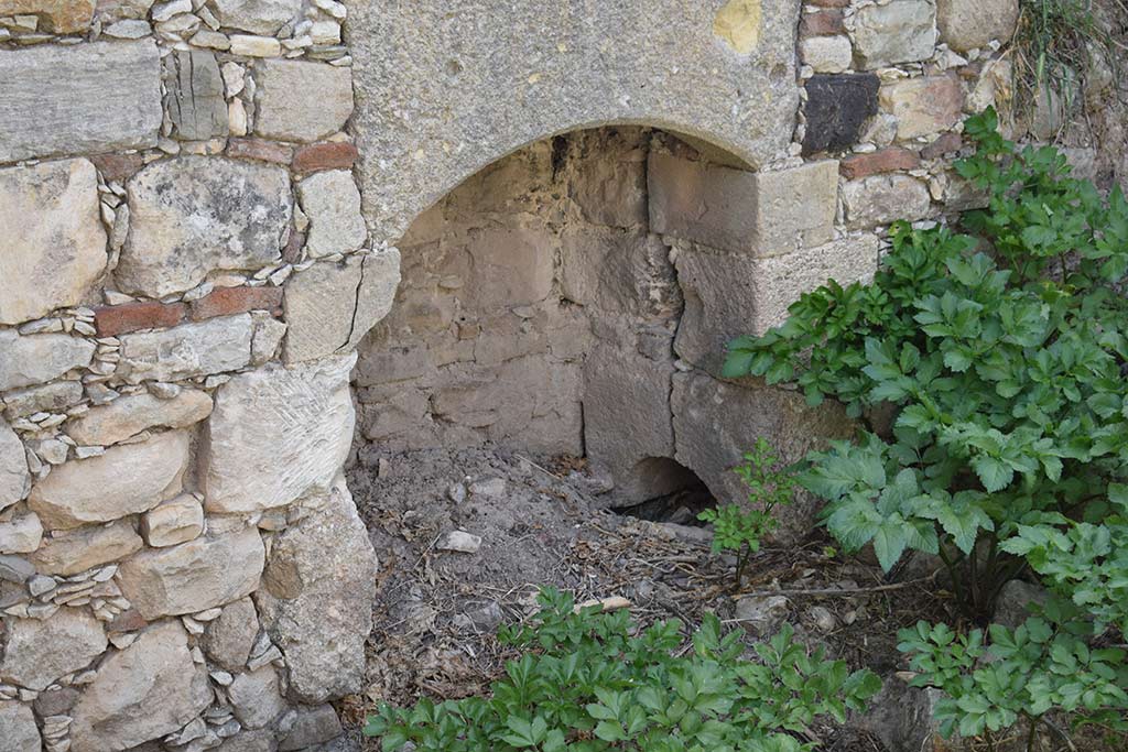 Agios Savvas Tis Koronos 37 agios_savvas_tis_koronos_37