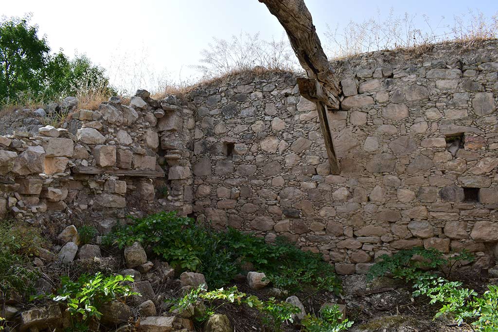 Agios Savvas Tis Koronos 39 agios_savvas_tis_koronos_39