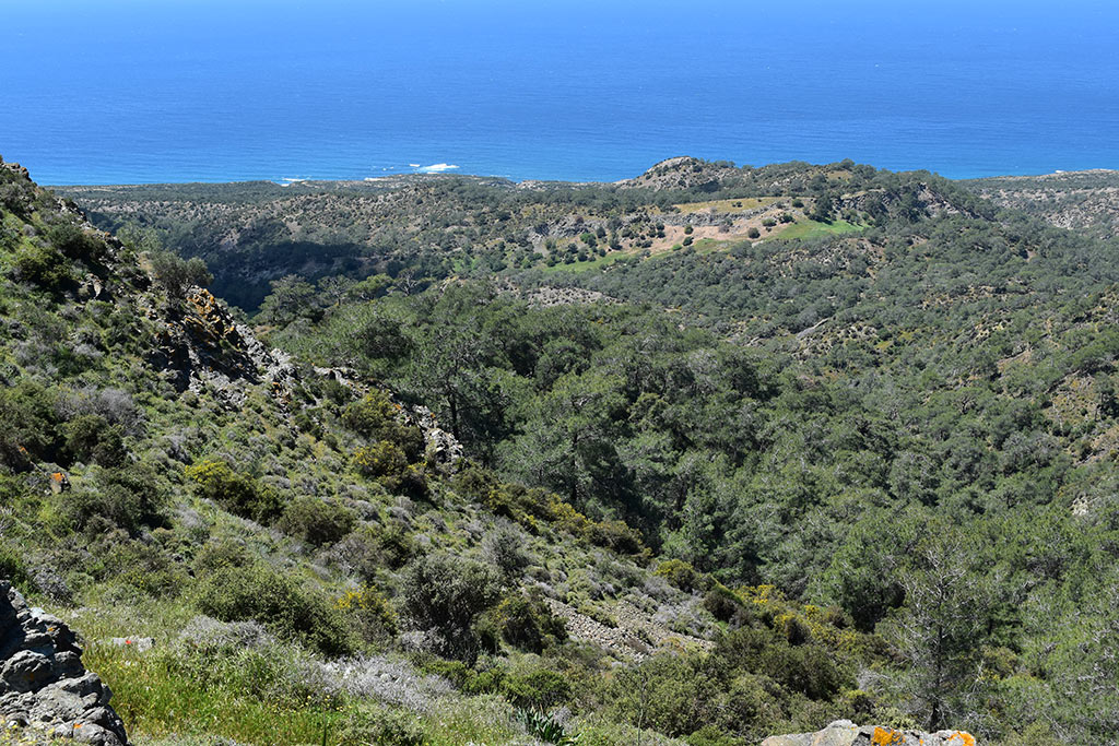 Akamas-sunshine 12 akamas-sunshine_12