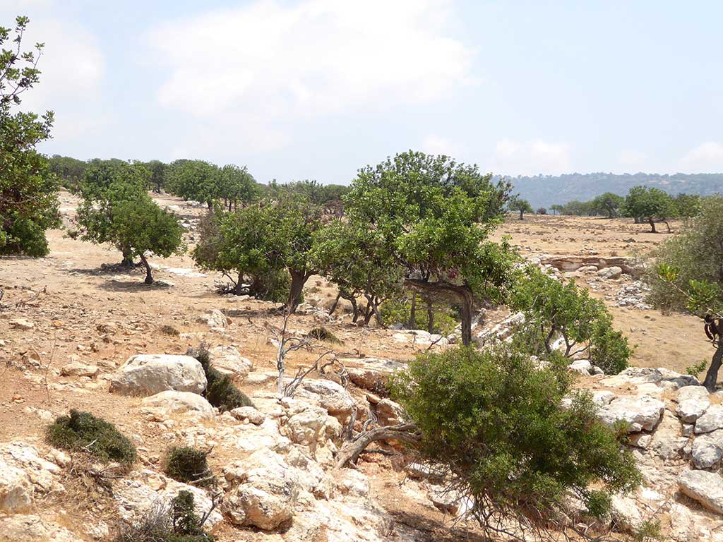 Akamas By Car 25 Barren akamas_by_car_25_barren