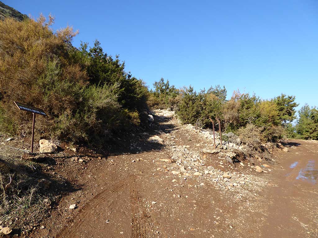08 Follow Aphrodites Trail 08_follow_aphrodites_trail