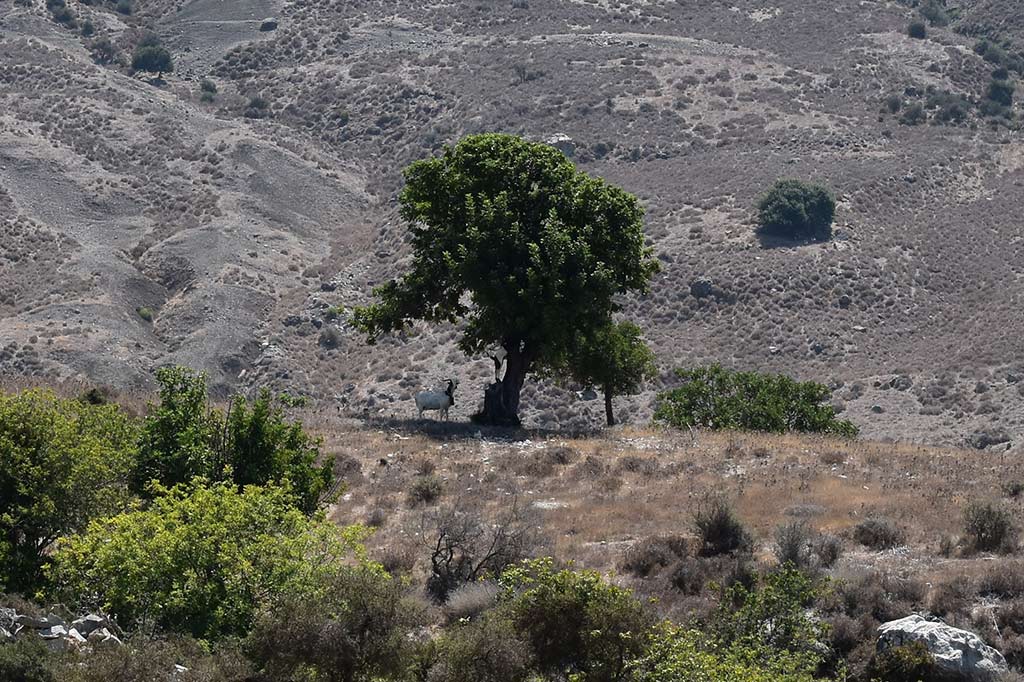 Akamas Ramble 18 akamas_ramble_18