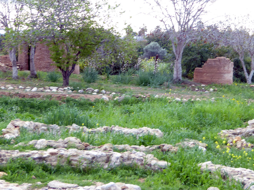 04 Pan 04_pan