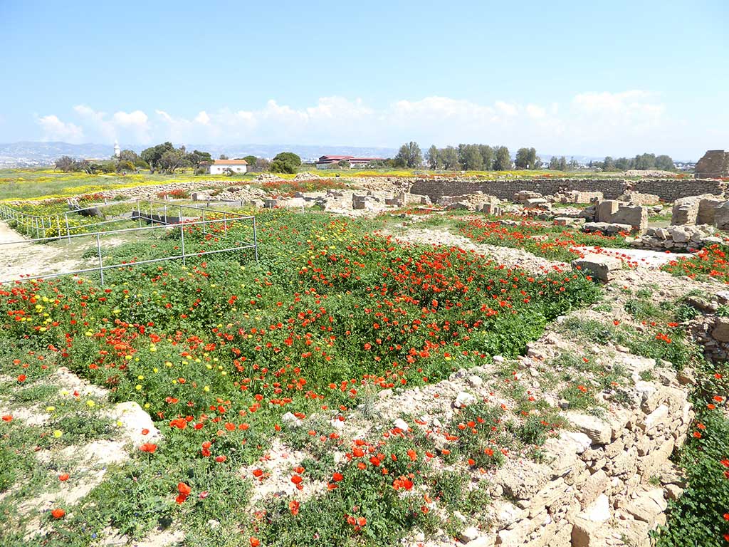 06 Archaeological Park Poppies 06_archaeological_park_poppies
