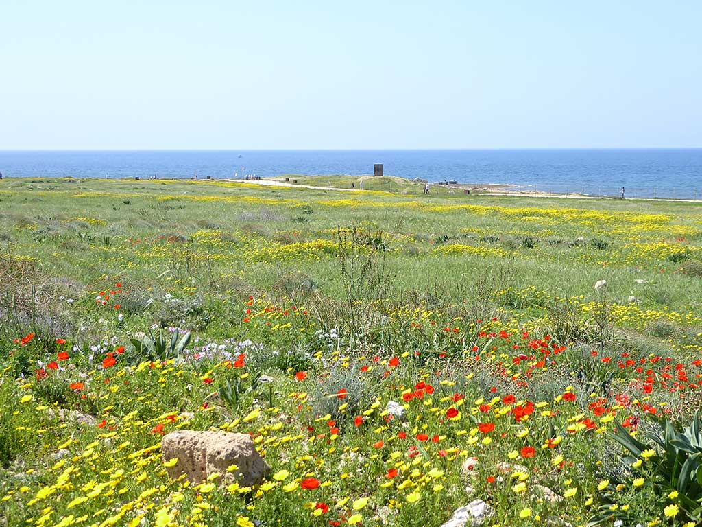 07_archaeological_park_to_the_sea