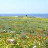 07 Archaeological Park To The Sea