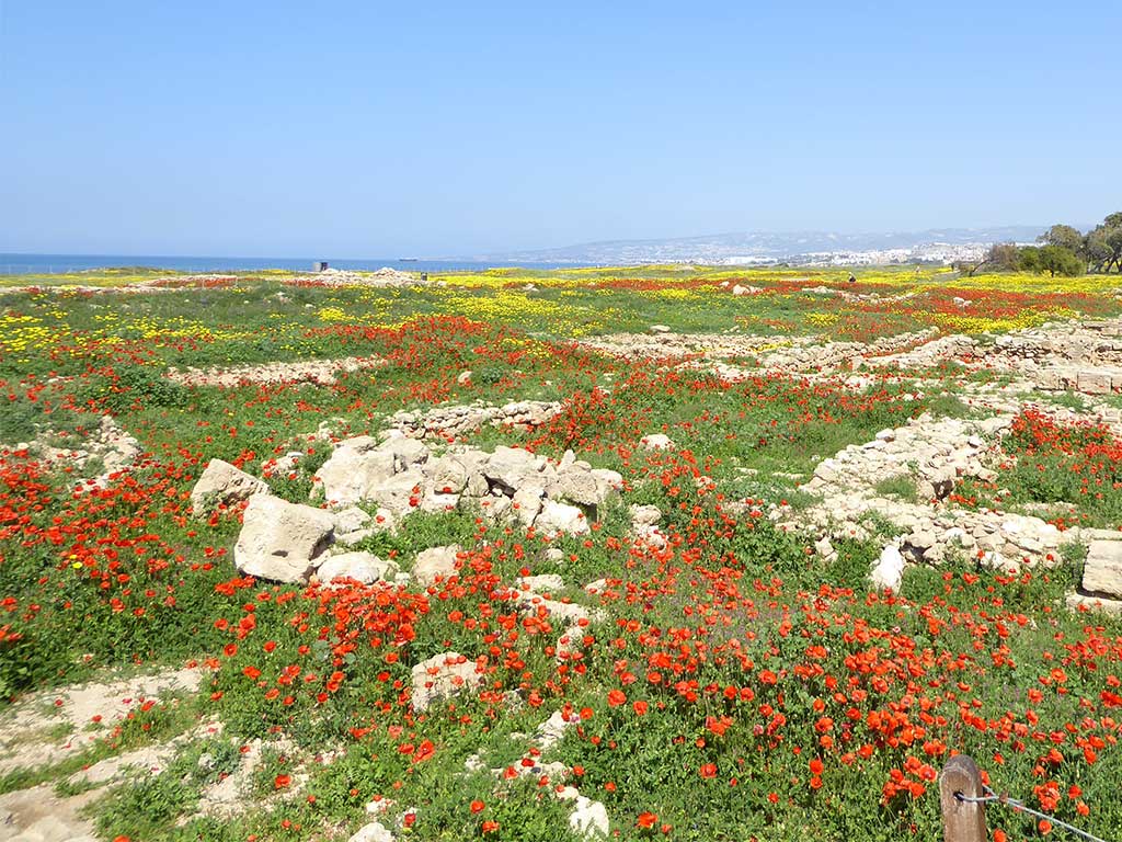 08_archaeological_park_towards_tomb_of_the_kings