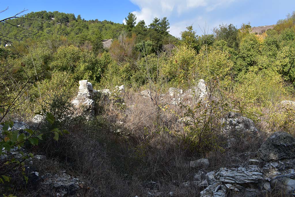 Archimandrita-bridge 20 archimandrita-bridge_20