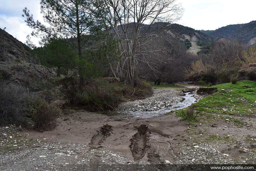 camel-trail-bridges_02