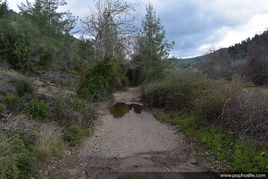 camel-trail-bridges_05