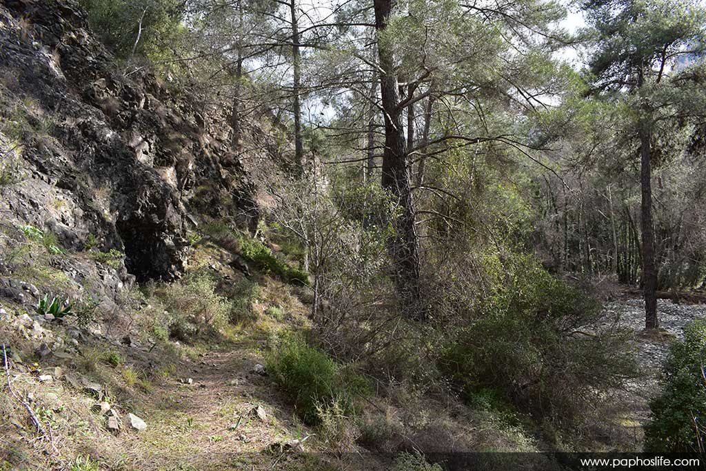 camel-trail-bridges_14