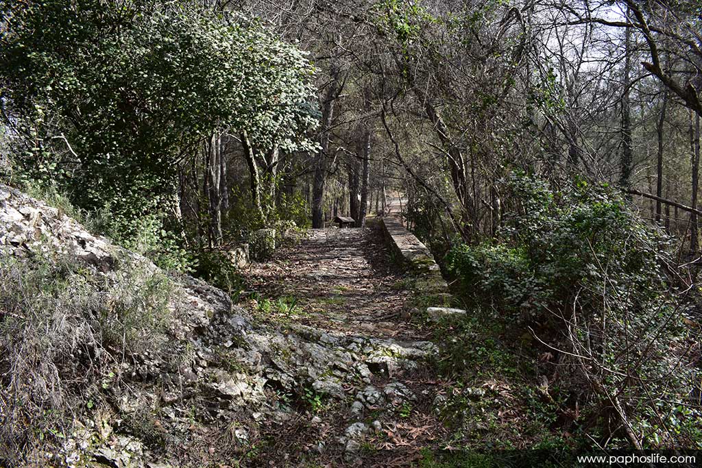 Camel-trail-bridges 15 camel-trail-bridges_15