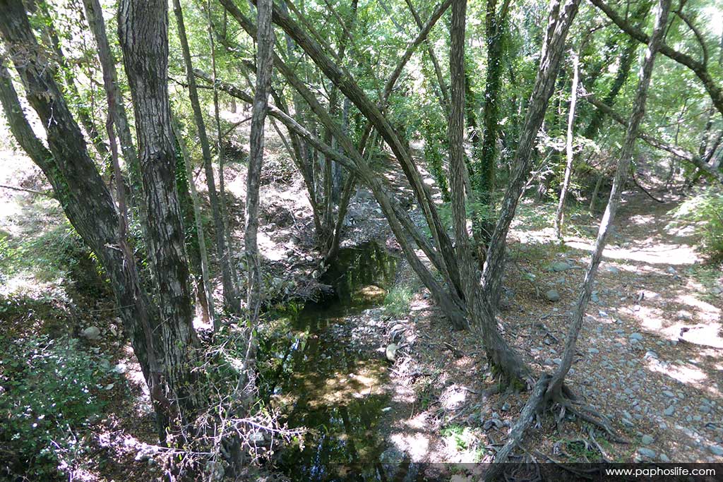 camel-trail-bridges_16