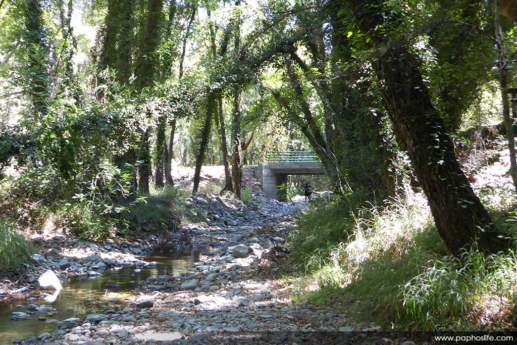 camel-trail-bridges_19