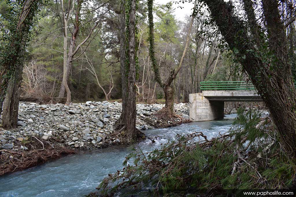 camel-trail-bridges_20