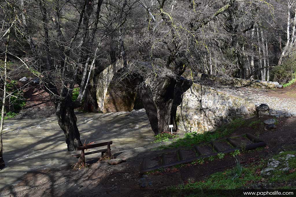 Camel-trail-bridges 56 camel-trail-bridges_56