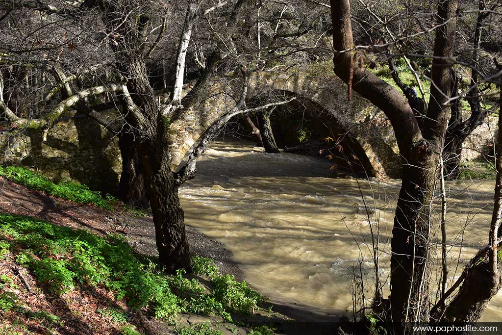 Camel-trail-bridges 63 camel-trail-bridges_63