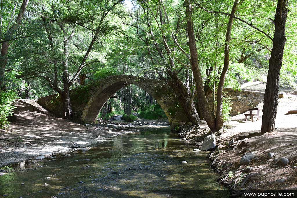 Camel-trail-bridges 64 camel-trail-bridges_64