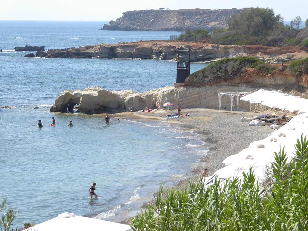 cap_st_georges_15_swimmers