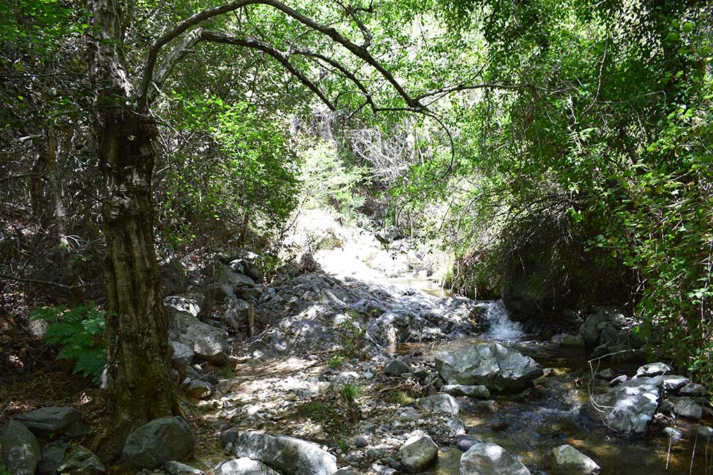 Chantara Falls 26 chantara_falls_26