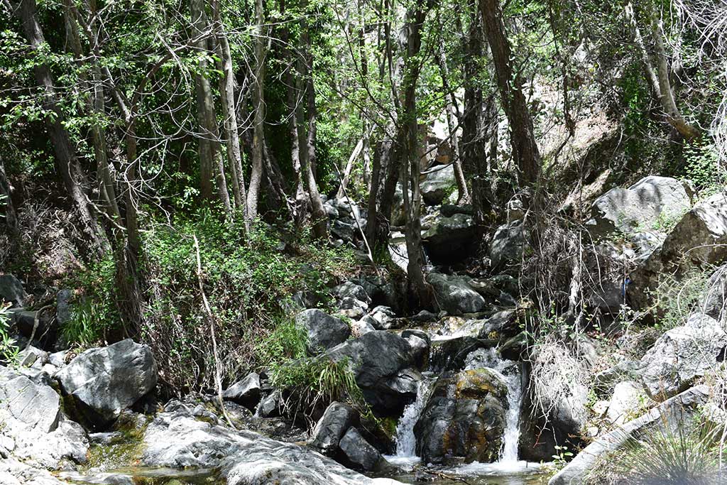 Chantara Falls 28 chantara_falls_28