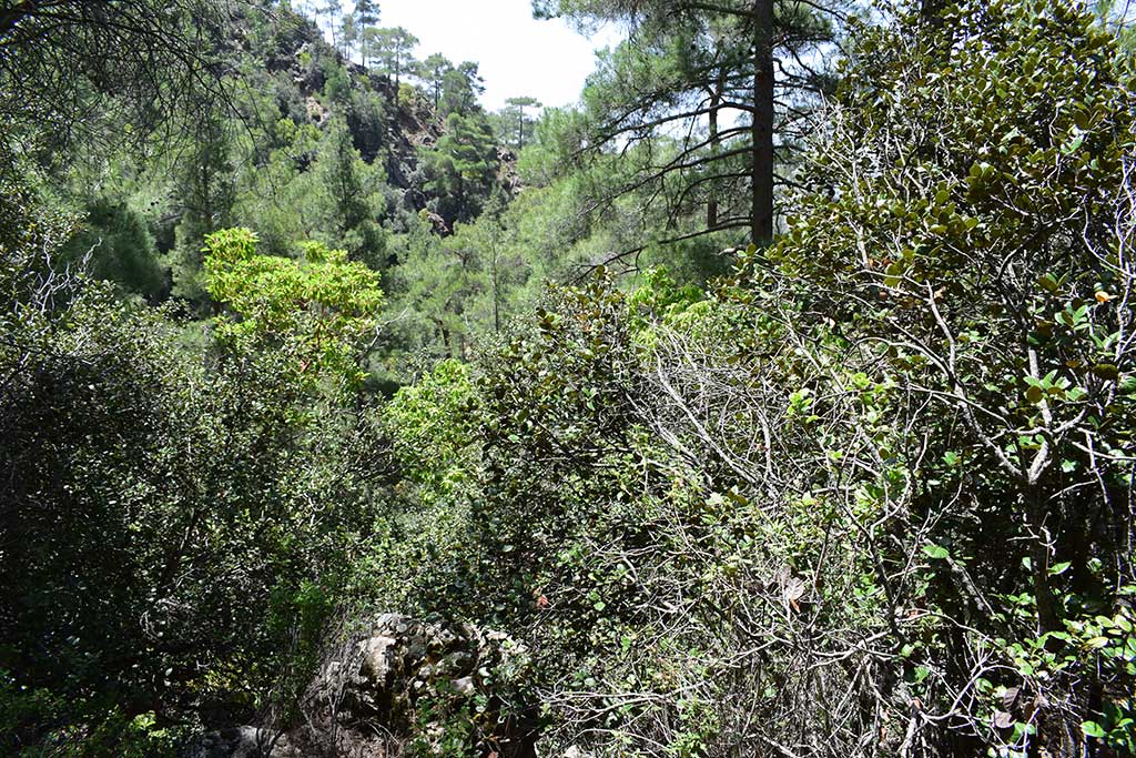 Chantara Falls 42 chantara_falls_42