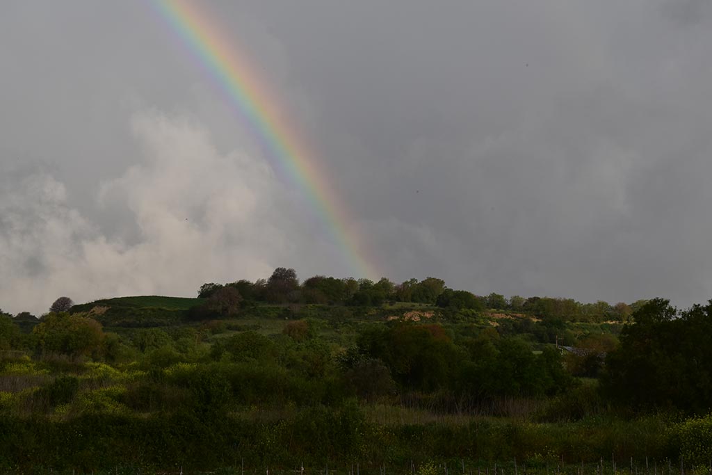 Chasing-a-rainbow 01 chasing-a-rainbow_01