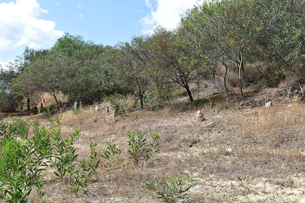 chrysochou_cemetary_05