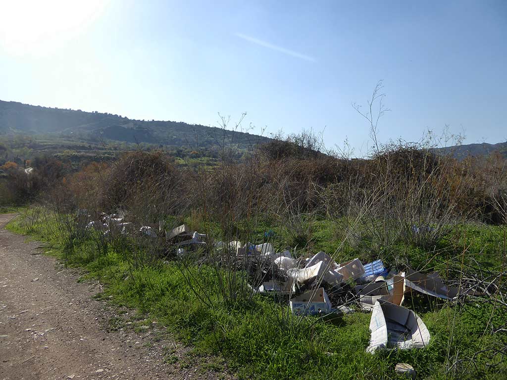 Clean Up Paphos 14 clean_up_paphos_14