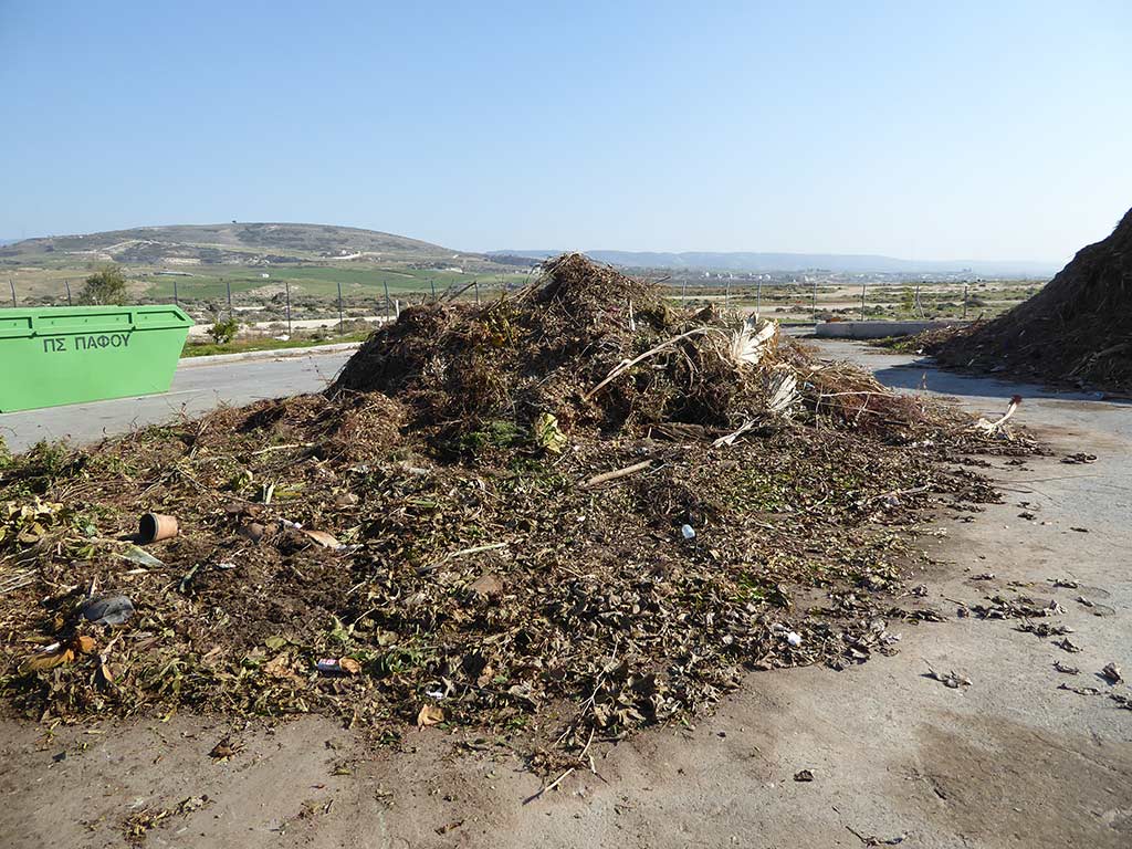 Clean Up Paphos 20 clean_up_paphos_20