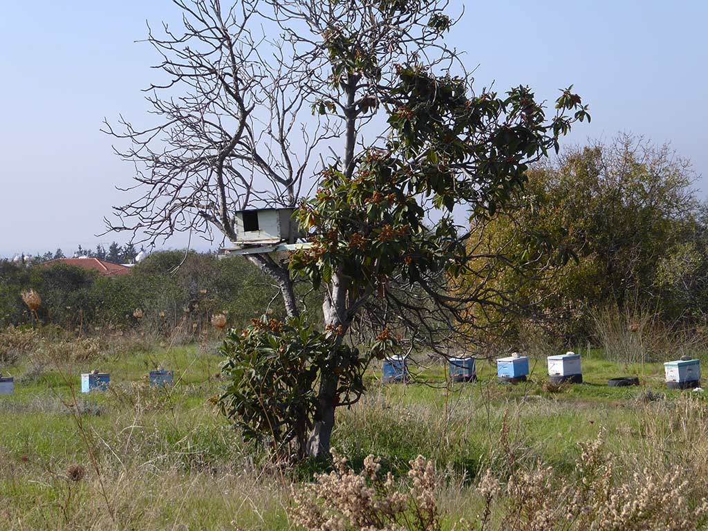 Clean Up Paphos 25 clean_up_paphos_25