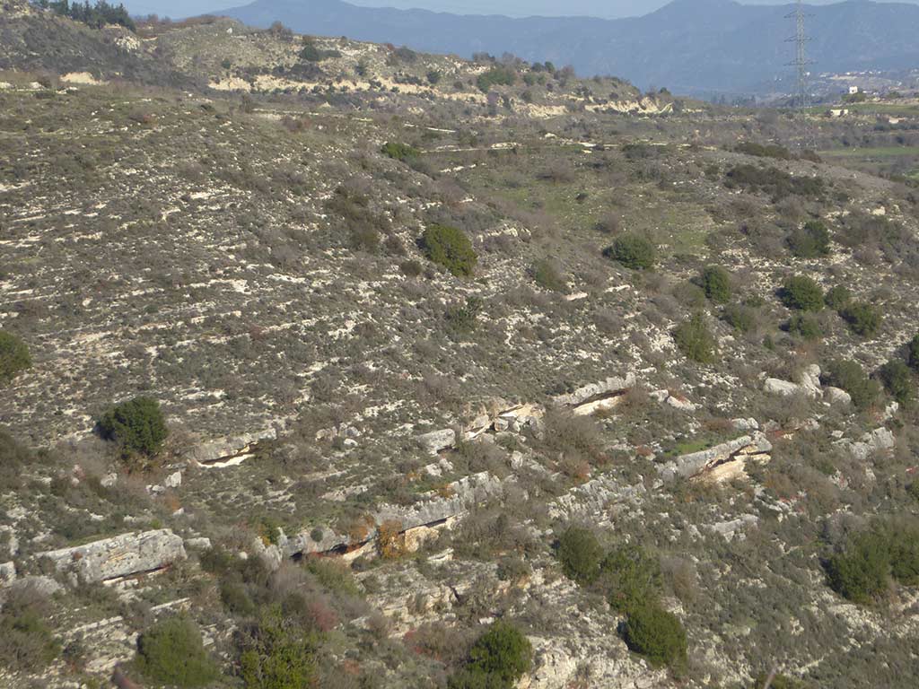 Clean Up Paphos 39 clean_up_paphos_39