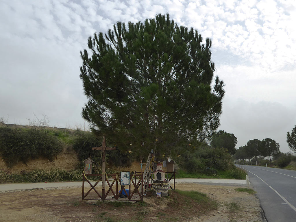 Clean Up Paphos 54 clean_up_paphos_54