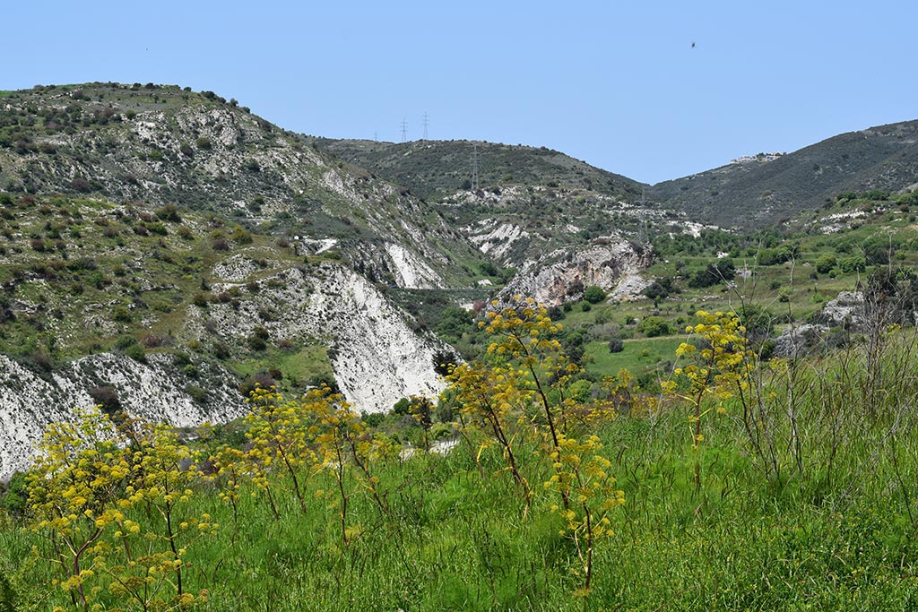 Cyprus-spring-flowers 01 cyprus-spring-flowers_01