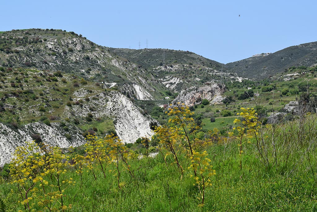 cyprus-spring-flowers_01