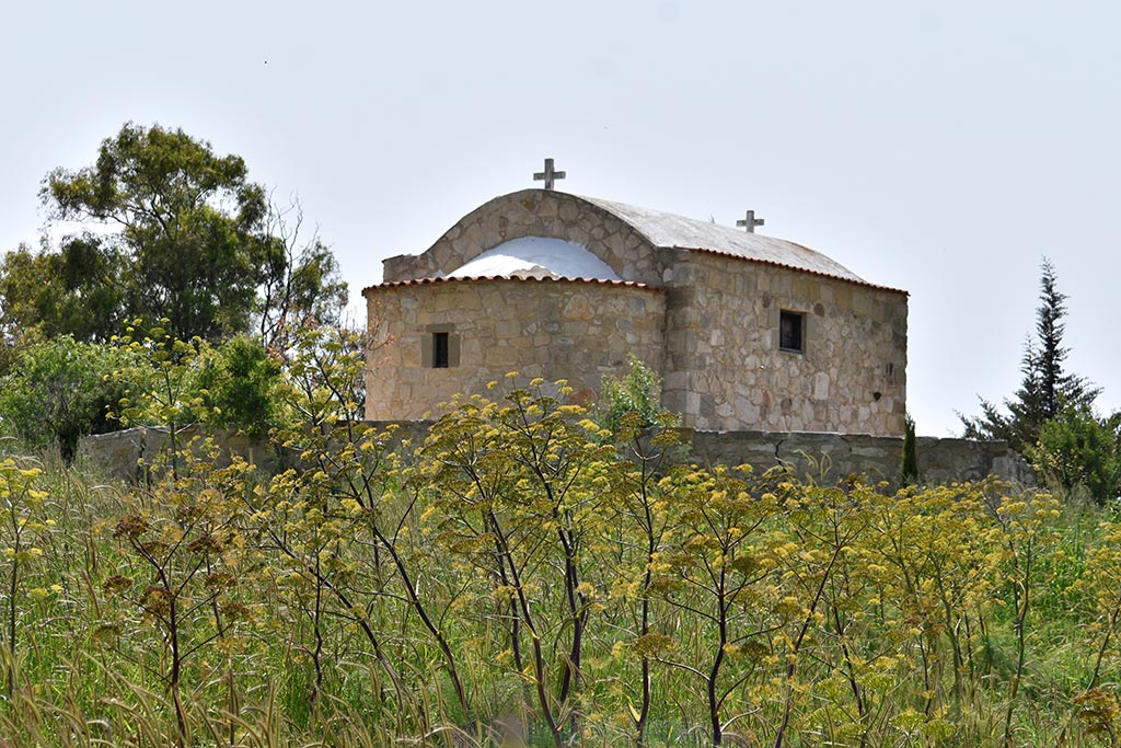 cyprus-spring-flowers_15