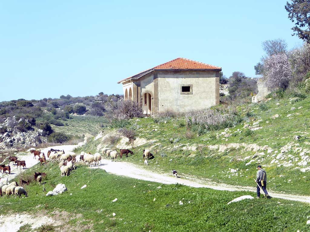 09 Shepherd 09_shepherd